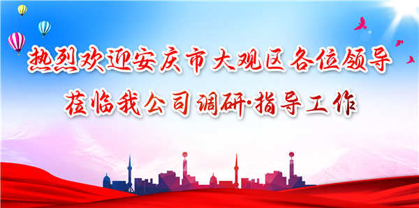 安慶市大觀區(qū)領(lǐng)導(dǎo)蒞臨我公司調(diào)研工作，為發(fā)展注入新動(dòng)力